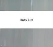 4 oz. Baby Bird