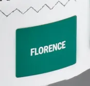 Sample Tin (120mL) of Florence Chalk Paint® by Annie Sloan