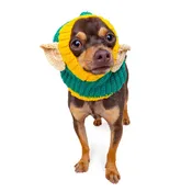 Elf Zoo Snood