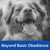 Beyond Basic Obedience