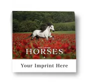 339- Horses