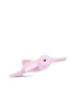 Amazon River Dolphin