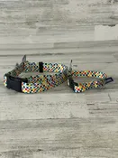 2 Hounds Design Earthstyle Indy Flag Collar