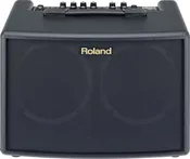 AC-60 Acoustic Chorus Guitar Amplifier-Compact With Pure, Natural Tone