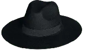 100% Wool Felt Pinch w/ Flat Brim