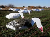 Feeder Blue Goose Windsocks, 12 Pack