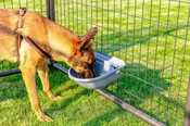 Automatic Water Bowl with 1 Extra Float
