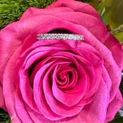 14K White Gold Natural Diamond Diamond Anniversary Band – 1.42 Total Carats