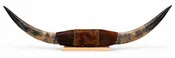Authentic USA Made Mounted Steer Horns (35.5" Span)