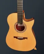 Toru Fujii Mod-D Guitar