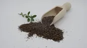 Loose Leaf Yaupon Tea (100 g / 3.5 oz)