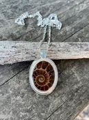 Ammonite with Aquamarine Sterling Necklace