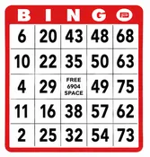 100-Pack Professional Single Hard Bingo Card