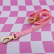 Bubblegum: Multi-Functional Waterproof Leash
