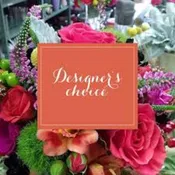 Everyday Designers Choice 125