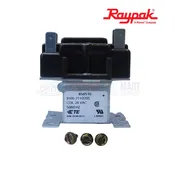 007376F | Raypak Hi-Delta DPST 24V Relay