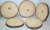 Aspen Wood Slices 9" to 11" diameter x .65 to 1" thick Small & Wholesale Quantities