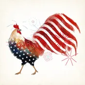 Rooster Fireworks I - 20" x 20", 40" x 40", or 50" x 50"
