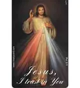 Jesus Plastic Rosary Card Pocket Rosary