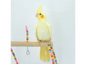 Assorted Baby Handfed Cockatiels – 18650