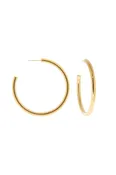 2" Hollow Post Hoop