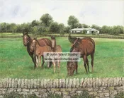 Bourbon County Splendor