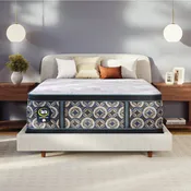 Cascade Range - Plush Pillow Top | Perfect Sleeper | Serta