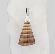BL P-3319 B SH  (Shell)