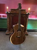 Baranik "Super Meridian" — Mighty Fine Guitars