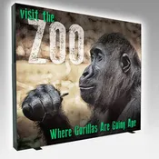 10' Backlit Trade Show Display - Tool-Less Setup