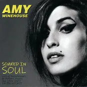 Amy Winehouse - Soaked In Soul: Live At Eurockeennes De Belfort Vinyl Record