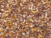 Complete Layer Chicken Feed — The Wood Thrush Shop