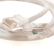100 Ft Cat6A Plenum Cable 550Mhz - White
