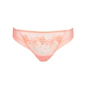 Annaelle Bikini Brief