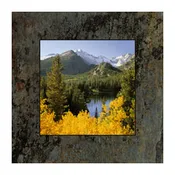 Longs Peak at Bear Lake #2 by David Clack