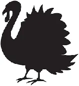 Just Cat Turkey