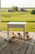 50ETWF White End Table