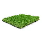 Bermuda Pro