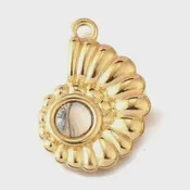 Abalone  Accent Conch Shell Charm
