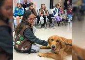 Advanced Pet Care Patch Workshop