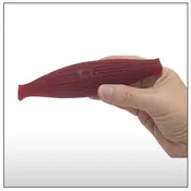 1 Pound of Muscle Replica