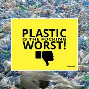 No Plastic Pledge: Plastic is the Fucking Worst Print