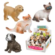 $2 Puppies and Kitties, Cats and Dogs