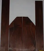 Madagascar Rosewood 0831_001