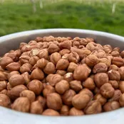 Shelled Hazelnuts (Raw Filbert Nuts Unpasteurized Organic USA Grown)