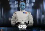 Grand Admiral Thrawn Sixth Scale Figure — PARKVILLE FRAME GALLERY