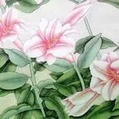 China Lily Oil