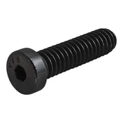 80/20 | 10 & 15 Series 1/4-20 x 1.00 in Low Head Socket Cap Screw (LHSCS) | 3017