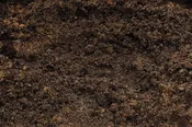 Garden Blend Topsoil