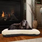 All Day Dog Bed